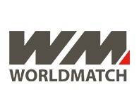 WM电子游戏接口API