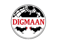 Digmaan斗鸡游戏接口API