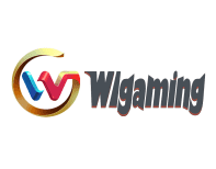 WLG电子老虎机游戏接口API